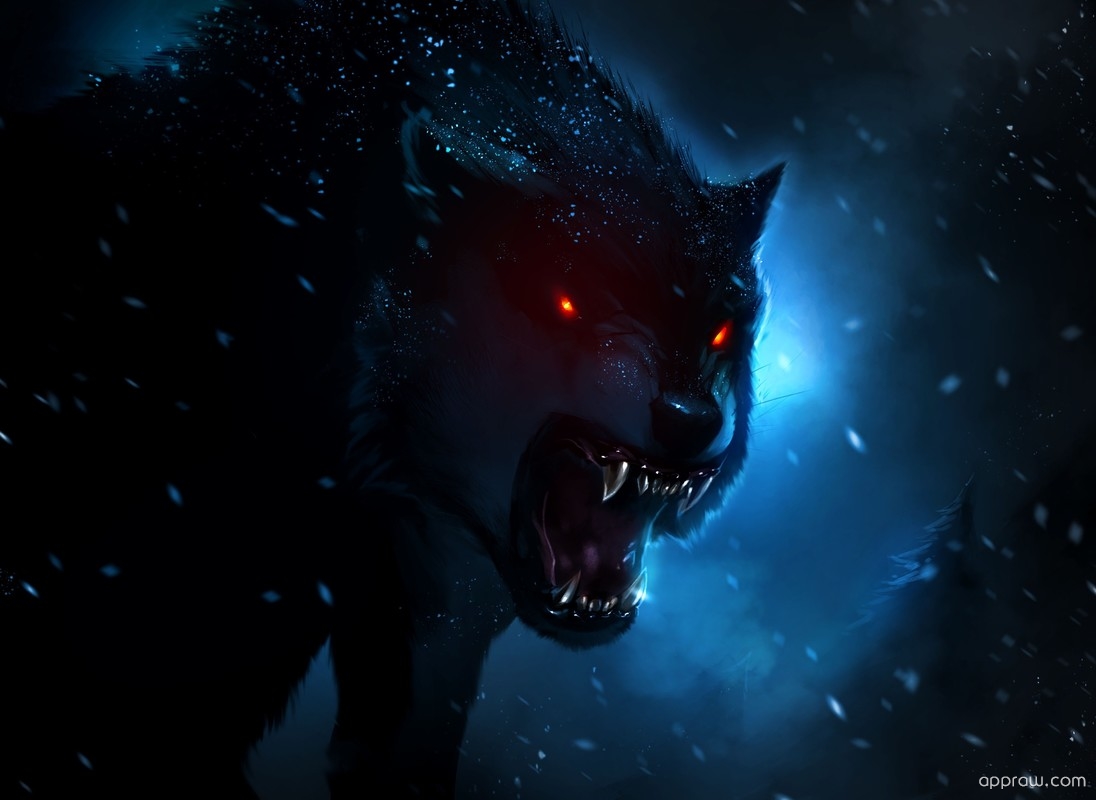 Dark Wolf Wallpaper download - Wolf HD Wallpaper - Appraw