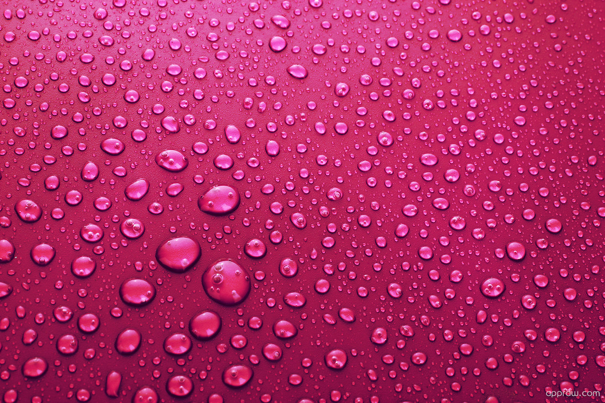 Pink Water Droplets Wallpaper download - Water Droplet HD Wallpaper