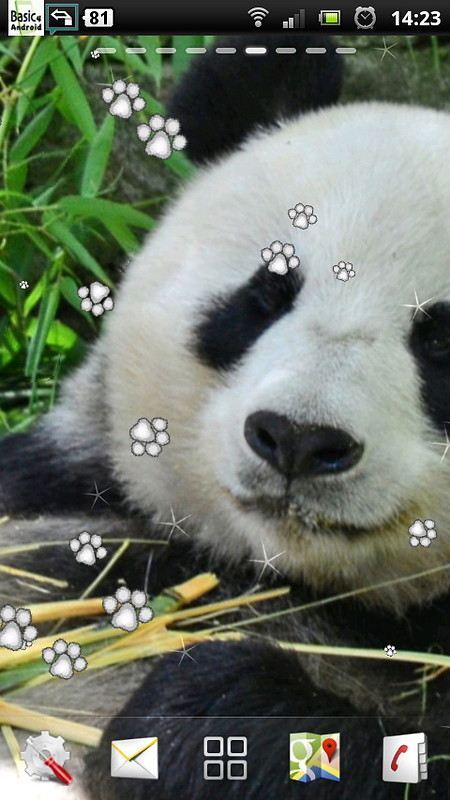 Panda Live Wallpaper Free Android Live Wallpaper Download Appraw