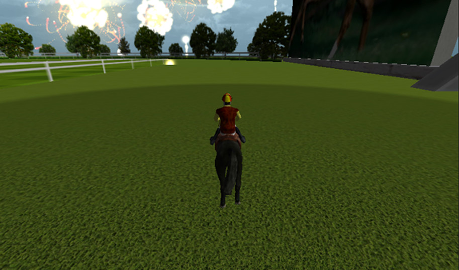 horse ride simulator
