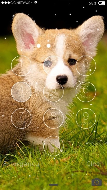 Cute Puppy Lock Screen Free Android Theme download - Appraw
