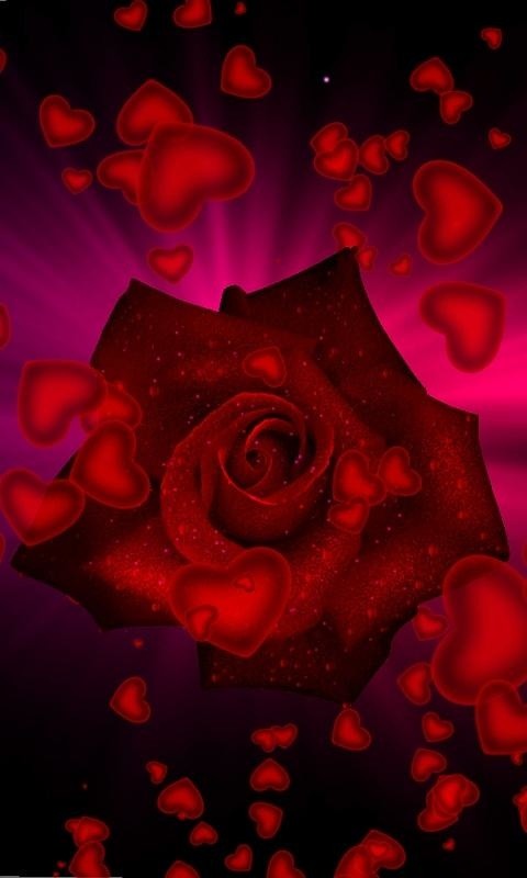 love rose Free Android Live Wallpaper download - Appraw