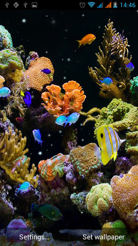 Aquarium Live Wallpaper Free Android Live Wallpaper download - Appraw