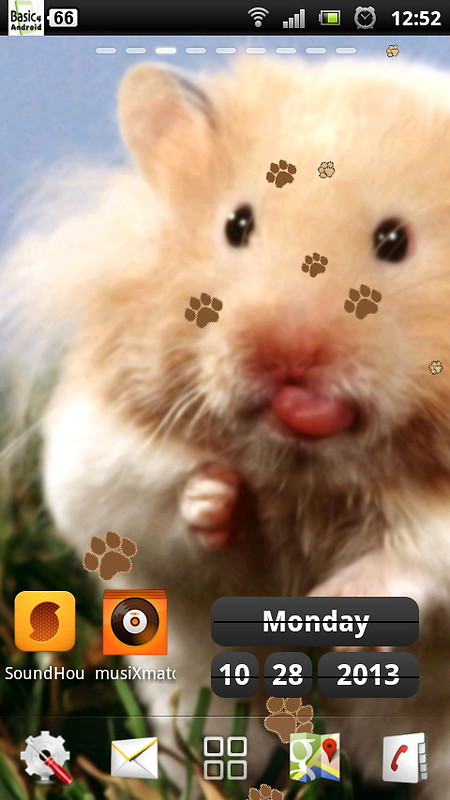 live hamster wallpapers Free Android Live Wallpaper download - Appraw