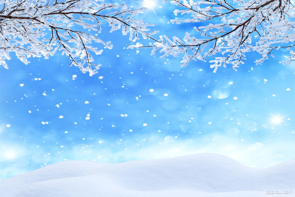 Snowfall Wallpaper download - Winter HD Wallpaper - Appraw