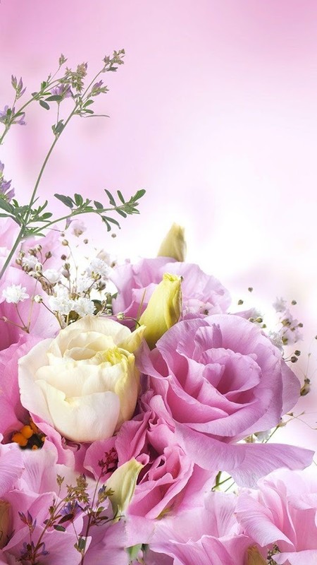Flowers Live Wallpaper Free Android Live Wallpaper download - Appraw