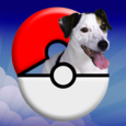Pocket Puppy GO Icon