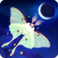 Flutter: Starlight Icon