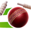 Live Cricket Scores & News Icon