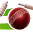 Live Cricket Scores & News Icon