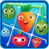 Fruit Frenzy : Connect All Icon
