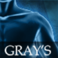 Gray's Anatomy 2011 Icon