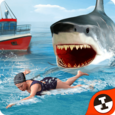 Shark Shark Run Icon