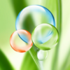 Bubbles Icon