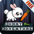 Bunny Run Adventure Icon