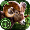 Wild Hunter 3D Icon