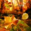 Autumn Live Wallpaper Icon