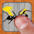 Ant Smasher, Best Free Game Icon