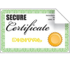 Certificates Lite Icon