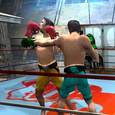 boxing action fighting game Icon