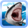 Hungry Shark Attack Simulation Icon