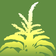 Ag Weed ID Icon