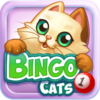 Bingo Cats Icon