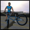 BMX Freestyle Extreme 3D Icon