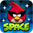 Angry Birds Space Premium Icon