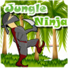 Jungle Ninja Icon