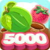 Berry 5000 Icon