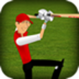 Stick Cricket Icon