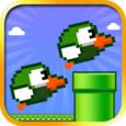 Ducky Duck Twins Icon