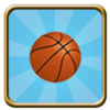 Basket the Ball Icon