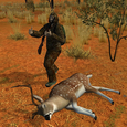 Hunting Safari Icon