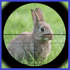 Rabbit Hunter Icon