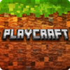 PlayCraft Icon