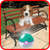 Pocket Puppy Pet Go! Icon