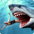 Shark Attack Wild Simulator Icon