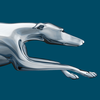 Greyhound Lines Icon