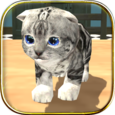 Cat Simulator : Kitty Craft Icon