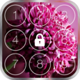 keypad lock screen Icon