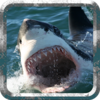 Deadly Shark: Marine Simulator Icon