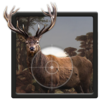 Forest Sniper – Animals Hunter Icon
