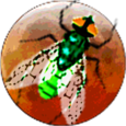 Galactic Insects Icon