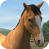 My Horse Icon