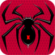 Spider Solitaire Icon