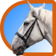 Horse Puzzle For Kids Icon