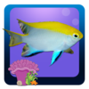 Freshwater Fish Counting Game Icon