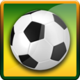 Jalvasco World Cup 2014 Icon